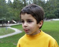 Or16.jpg (8630 bytes)